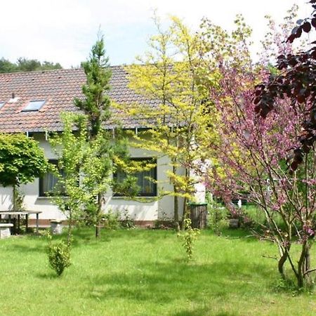 Pension Haus Zum Schlehenberg Bayreuth Bagian luar foto