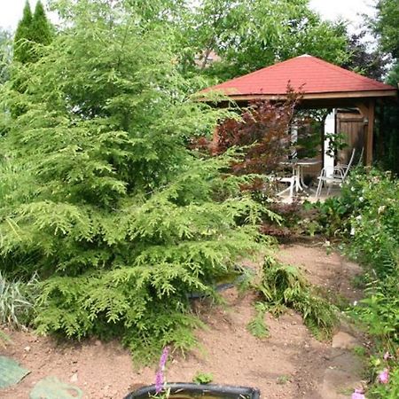 Pension Haus Zum Schlehenberg Bayreuth Bagian luar foto